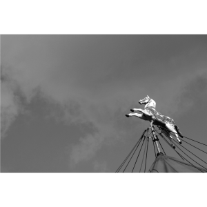 Fotky-na-predaj-Soar-Horse-MyWe