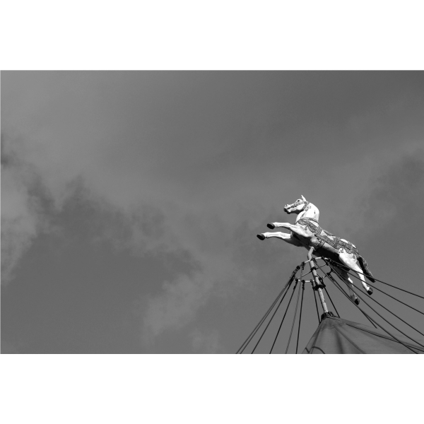 Fotky-na-predaj-Soar-Horse-MyWe