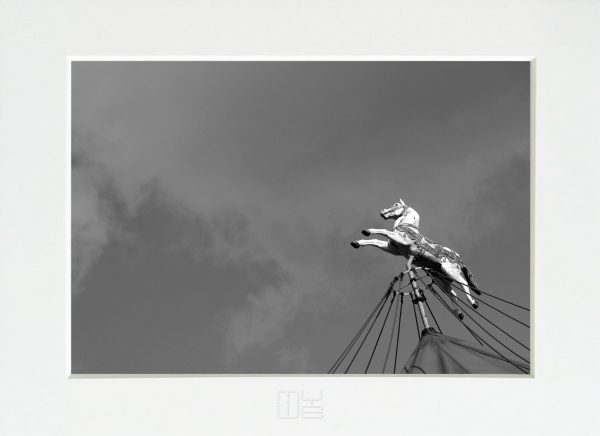 Fotky-na-stenu-Soar-Horse-MyWe