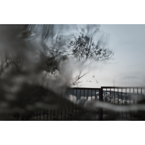 Fotky-na-predaj-Twilight-MyWe