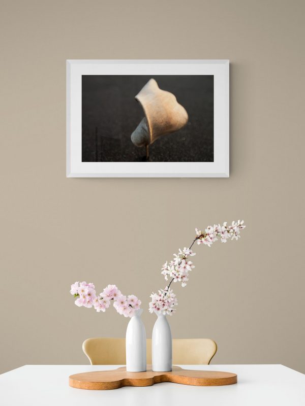 The-leaf-aliaz-velicki-mywe