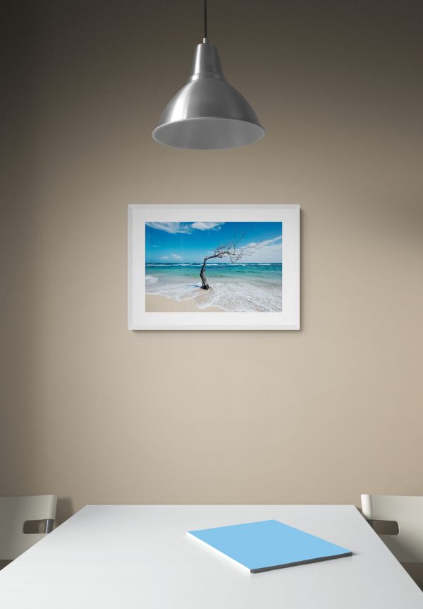 The old man and the sea-aliaz-velicki-mywe