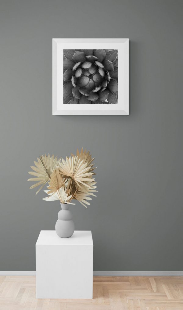 Fotografie-na-stene-stred-MyWe