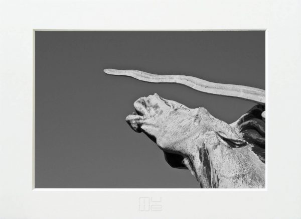 Foto-na-stenu-Screaming-Horse-MyWe