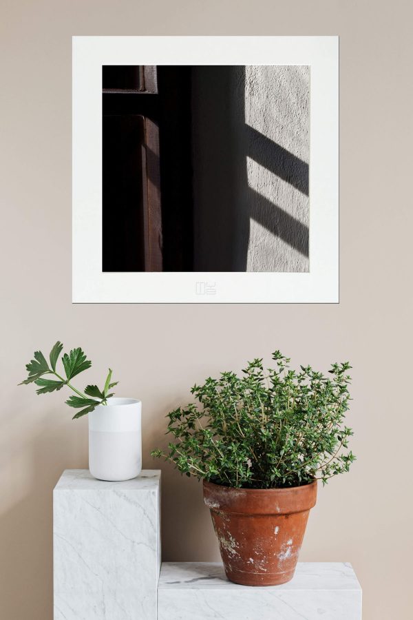 alexandra-anusev-borsikova-shadow-game
