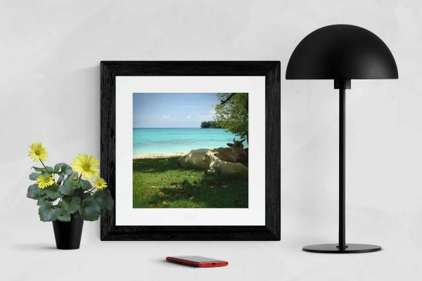 Fotografie-na-stene-Lay-Off-MyWe