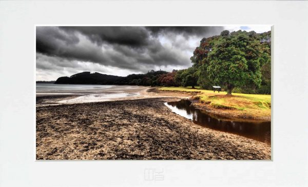 Fotky-na-stenu-Near-the-trees-MyWe