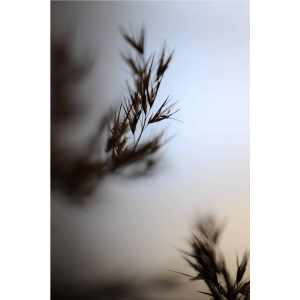 Predaj-fotiek-Poetry-I-MyWe