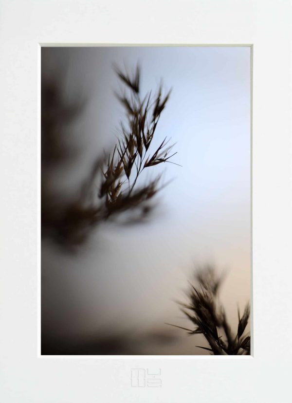 Fotky-na-stenu-Poetry-I-MyWe