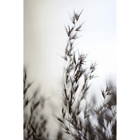 Fotky-na-predaj-Poetry-II-MyWe