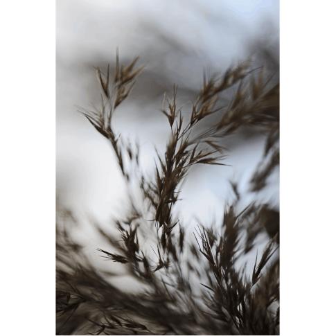 Predaj-fotiek-Poetry-V-MyWe