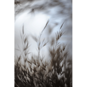 Fotky-na-predaj-Poetry-VI-MyWe