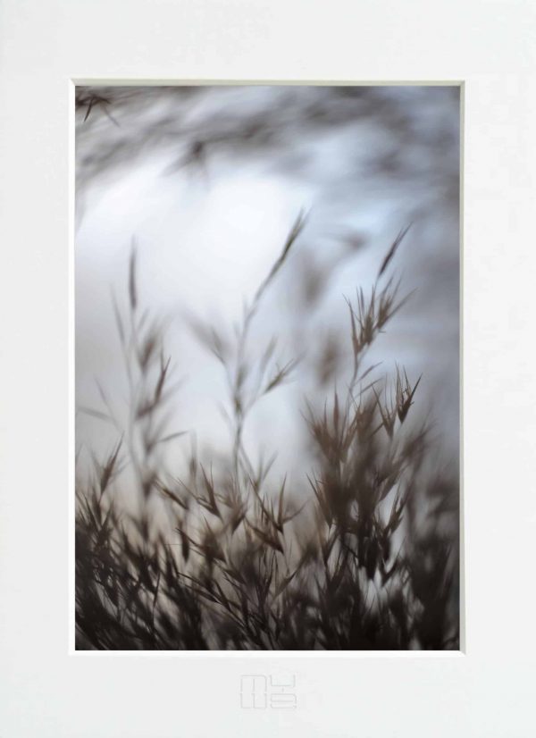 Fotky-na-stenu-Poetry VI-MyWe