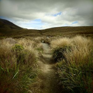 Fotky-na-predaj-path-MyWe