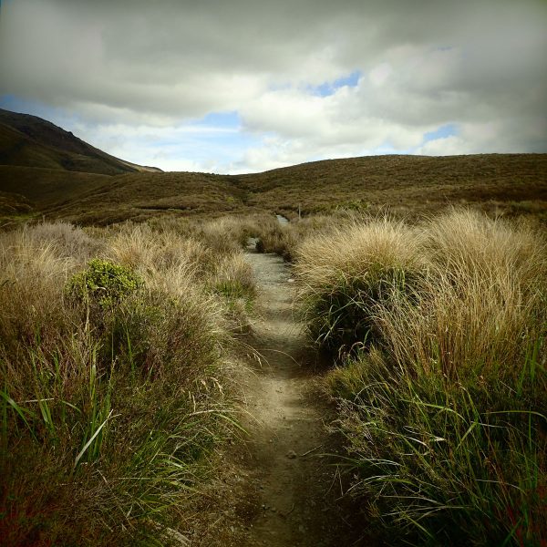 Fotky-na-predaj-path-MyWe