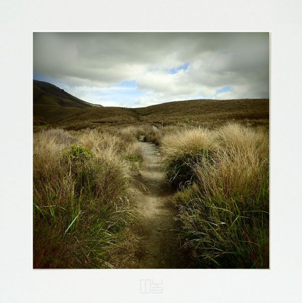 Fotky-na-stenu-path-MyWe