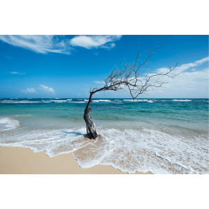 Fotky-na-predaj-The old man and the sea-MyWe