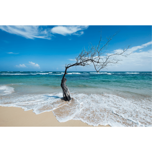 Fotky-na-predaj-The old man and the sea-MyWe