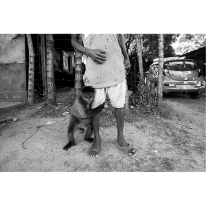 Fotky-na-predaj-Love is blind-MyWe