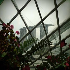 Predaj-fotiek-Inside-outside-MyWe