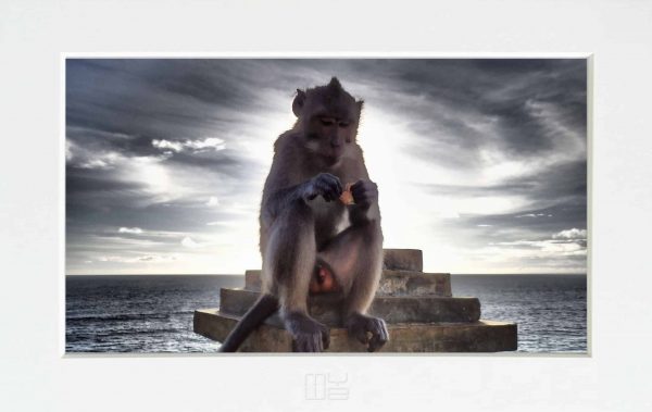 Fotky-na-stenu-Sacred species-MyWe