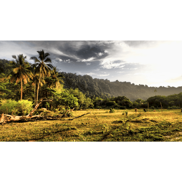 Predaj-fotiek-Vanuatu-sunrise-MyWe