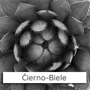 mywe-menu-cierno-biele