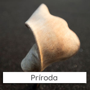 mywe-menu-priroda