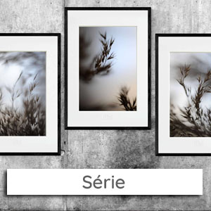 mywe-menu-serie