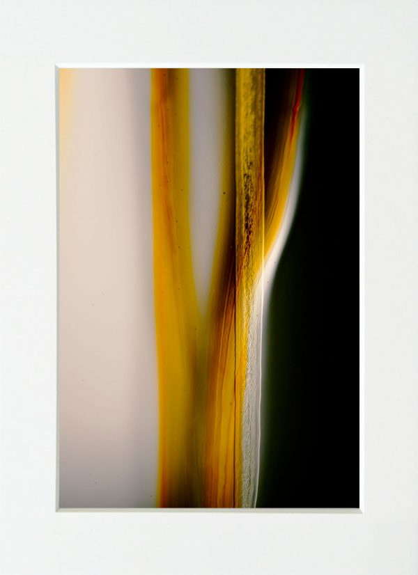 mind-abstraction-2-matej-somrak-mywe