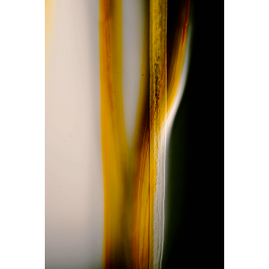 mind-abstraction-2-matej-somrak-mywe